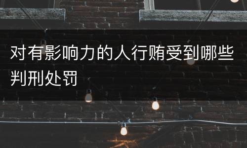 对有影响力的人行贿受到哪些判刑处罚