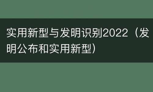 实用新型与发明识别2022（发明公布和实用新型）