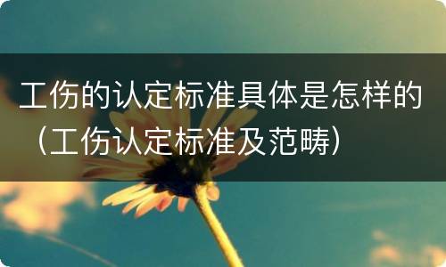 工伤的认定标准具体是怎样的（工伤认定标准及范畴）