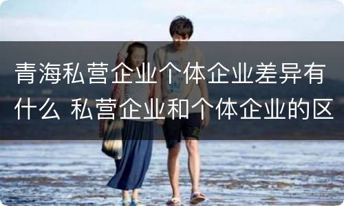青海私营企业个体企业差异有什么 私营企业和个体企业的区别