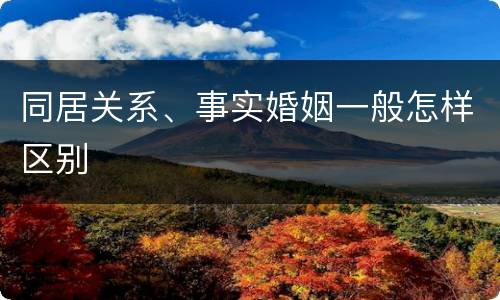 同居关系、事实婚姻一般怎样区别
