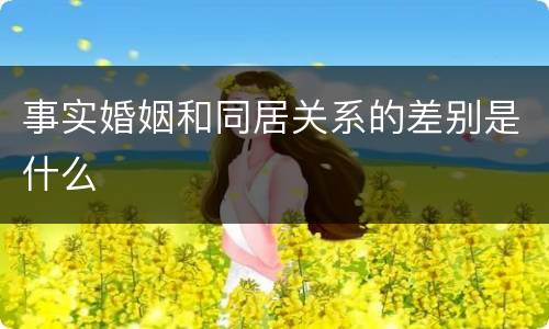 事实婚姻和同居关系的差别是什么