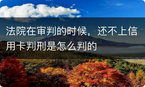 法院在审判的时候，还不上信用卡判刑是怎么判的