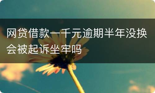 网贷借款一千元逾期半年没换会被起诉坐牢吗