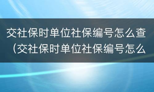 交社保时单位社保编号怎么查（交社保时单位社保编号怎么查不到）