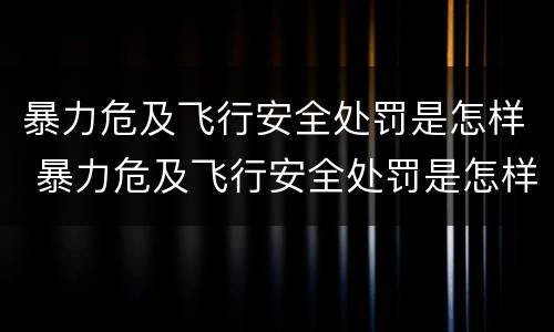暴力危及飞行安全处罚是怎样 暴力危及飞行安全处罚是怎样形成的