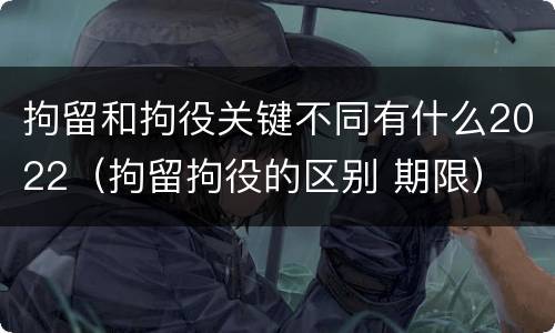 拘留和拘役关键不同有什么2022（拘留拘役的区别 期限）
