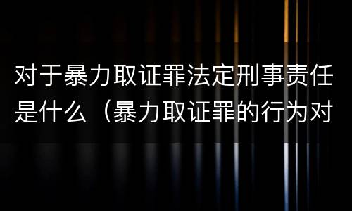 对于暴力取证罪法定刑事责任是什么（暴力取证罪的行为对象是）