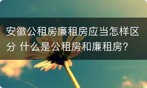 安徽公租房廉租房应当怎样区分 什么是公租房和廉租房?