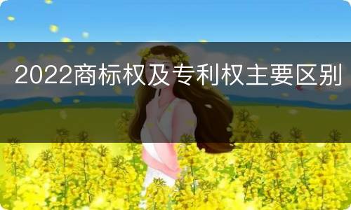2022商标权及专利权主要区别