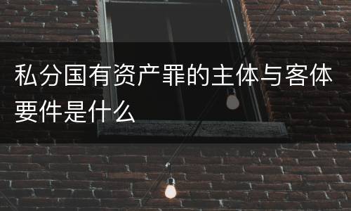 私分国有资产罪的主体与客体要件是什么
