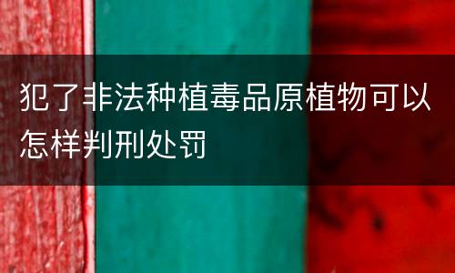 犯了非法种植毒品原植物可以怎样判刑处罚