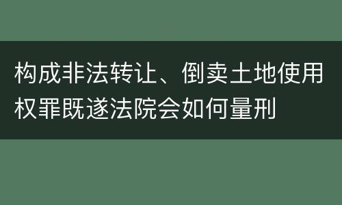 构成非法转让、倒卖土地使用权罪既遂法院会如何量刑