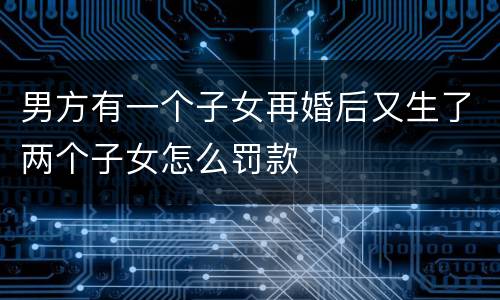 男方有一个子女再婚后又生了两个子女怎么罚款