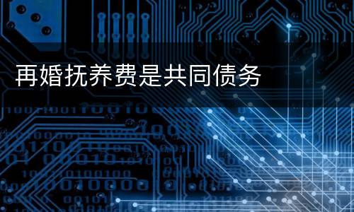 再婚抚养费是共同债务