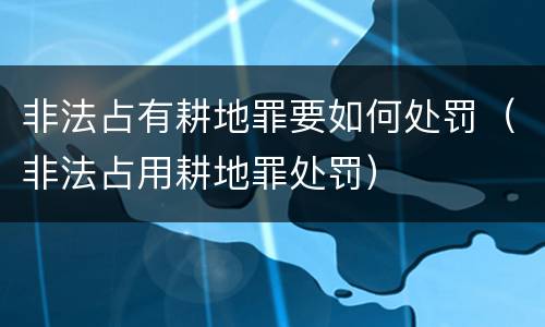 非法占有耕地罪要如何处罚（非法占用耕地罪处罚）