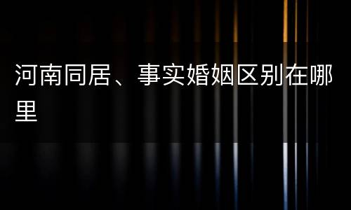 河南同居、事实婚姻区别在哪里