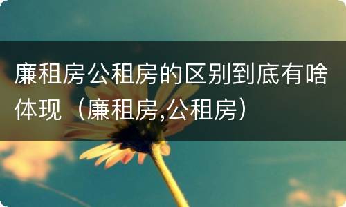 廉租房公租房的区别到底有啥体现（廉租房,公租房）