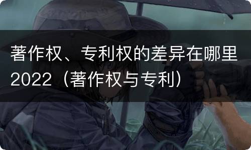 著作权、专利权的差异在哪里2022（著作权与专利）