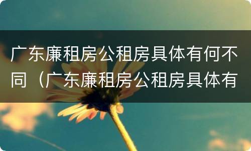 广东廉租房公租房具体有何不同（广东廉租房公租房具体有何不同之处）