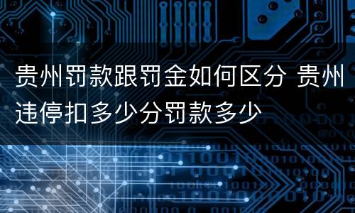 贵州罚款跟罚金如何区分 贵州违停扣多少分罚款多少