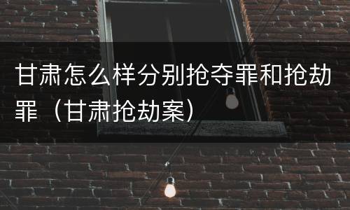 甘肃怎么样分别抢夺罪和抢劫罪（甘肃抢劫案）