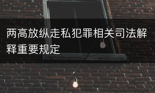 两高放纵走私犯罪相关司法解释重要规定