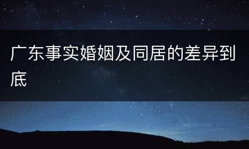 广东事实婚姻及同居的差异到底