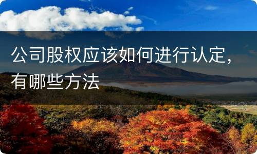 公司股权应该如何进行认定，有哪些方法