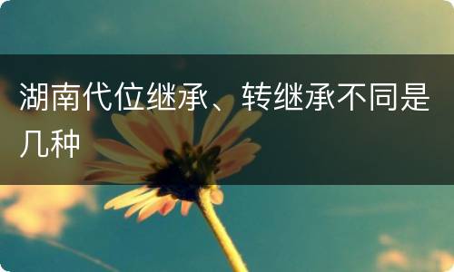 湖南代位继承、转继承不同是几种