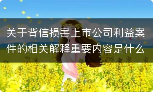 关于背信损害上市公司利益案件的相关解释重要内容是什么