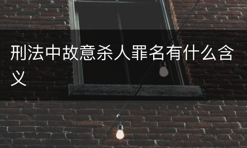 刑法中故意杀人罪名有什么含义
