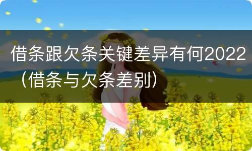 借条跟欠条关键差异有何2022（借条与欠条差别）