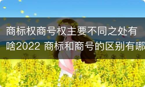 商标权商号权主要不同之处有啥2022 商标和商号的区别有哪些?