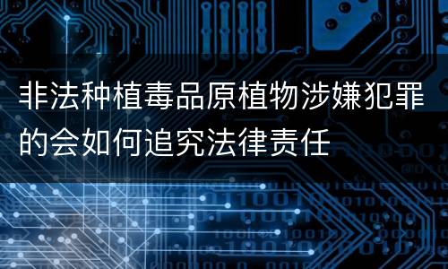 非法种植毒品原植物涉嫌犯罪的会如何追究法律责任