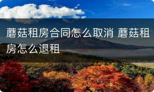 蘑菇租房合同怎么取消 蘑菇租房怎么退租