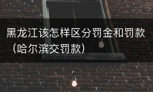 黑龙江该怎样区分罚金和罚款（哈尔滨交罚款）