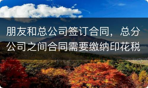 朋友和总公司签订合同，总分公司之间合同需要缴纳印花税吗