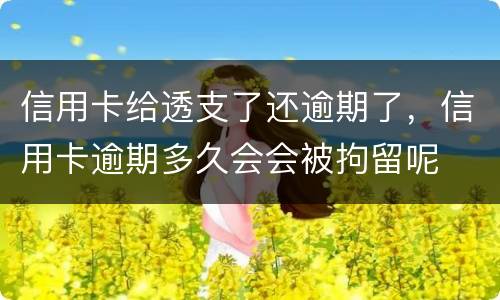 信用卡给透支了还逾期了，信用卡逾期多久会会被拘留呢