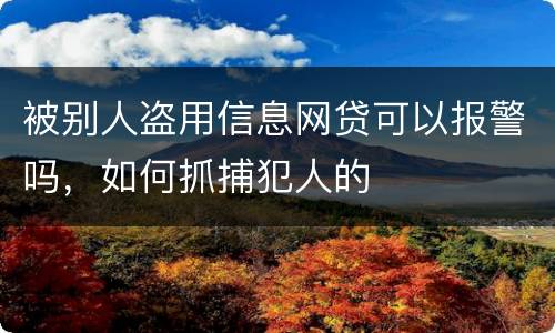 被别人盗用信息网贷可以报警吗，如何抓捕犯人的
