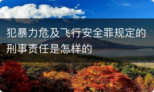 犯暴力危及飞行安全罪规定的刑事责任是怎样的 犯暴力危及飞行安全罪规定的刑事责任是怎样的