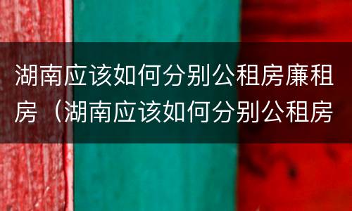 湖南应该如何分别公租房廉租房（湖南应该如何分别公租房廉租房和住宅）