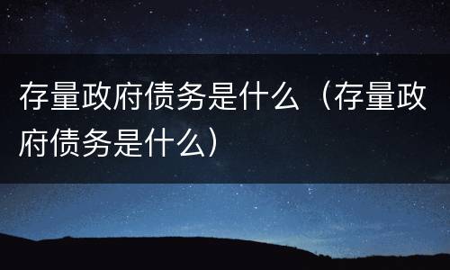 存量政府债务是什么（存量政府债务是什么）
