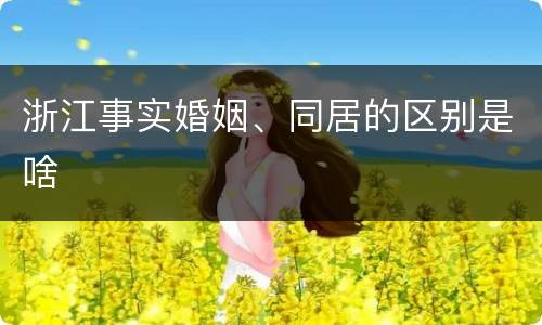 浙江事实婚姻、同居的区别是啥
