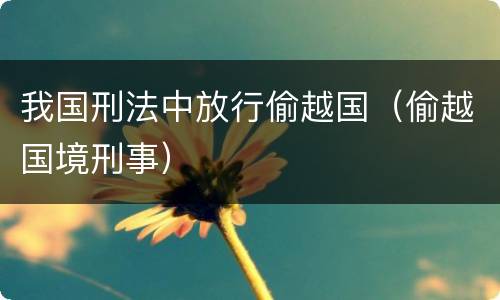 我国刑法中放行偷越国（偷越国境刑事）