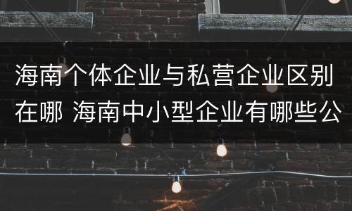 海南个体企业与私营企业区别在哪 海南中小型企业有哪些公司