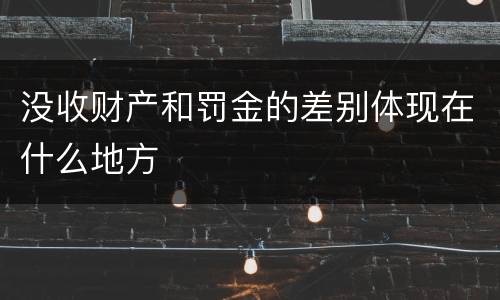 没收财产和罚金的差别体现在什么地方