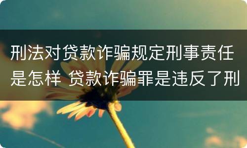 刑法对贷款诈骗规定刑事责任是怎样 贷款诈骗罪是违反了刑法的哪一条