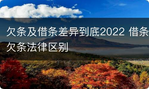 欠条及借条差异到底2022 借条欠条法律区别
