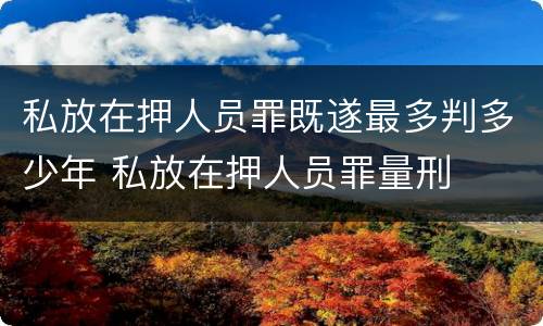 私放在押人员罪既遂最多判多少年 私放在押人员罪量刑
